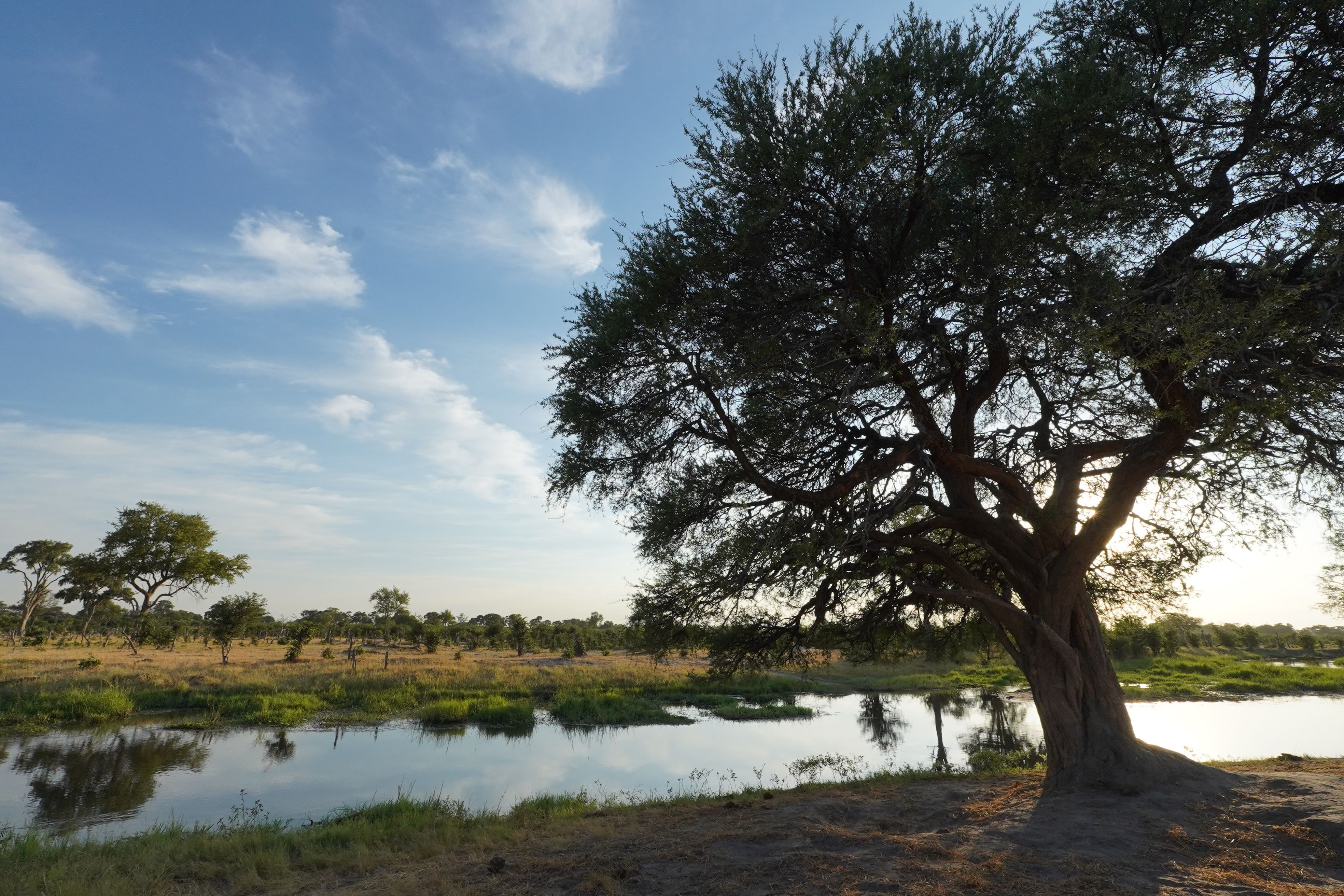 A sunrise along a riverbank